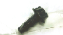 Image of SCREW. M10X1.5X20. Export. [CHINA EQUIPMENT GROUP]. image for your 2021 Chrysler Pacifica   